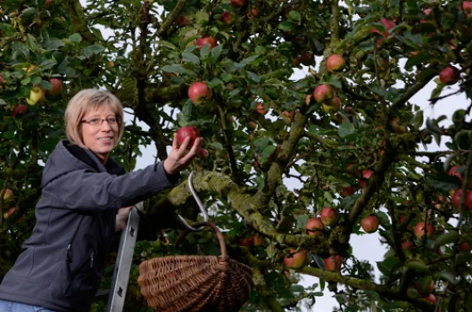 Copyright-Hermann-Pentermann_titel-c8a68f76